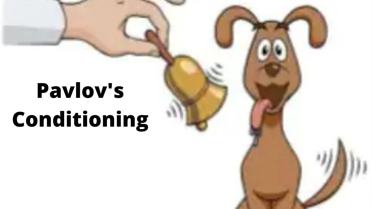 Classical Conditioning Theory Of Learning By Pavlov - YSC